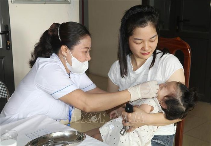 Đối tượng trẻ em được bổ sung Vitamin A trong chiến dịch là trẻ từ 6 tháng đến dưới 36 tháng tuổi và trẻ có nguy cơ cao thiếu Vitamin A trên địa bàn tỉnh Ninh Bình.