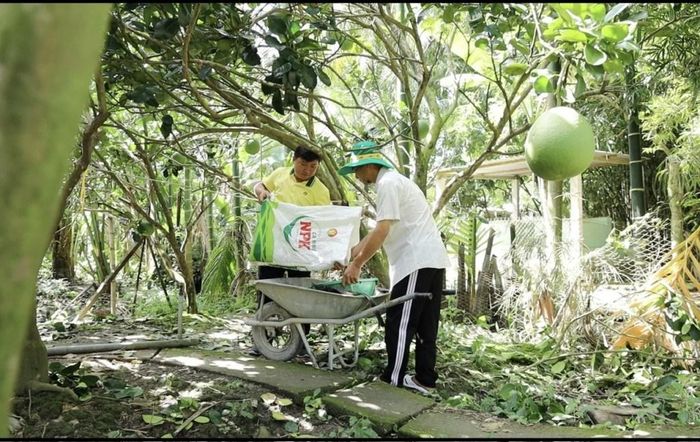 Nông dân cần sử dụng phân bón tiết kiệm, hiệu quả. Ảnh: A.N/Bnews/vnanet.vn