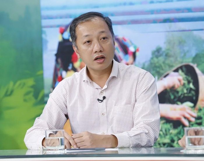 Ông Nguyễn Quang Hiếu, Phó Cục trưởng Cục Trồng trọt và Bảo vệ thực vật. Ảnh: Bích Hồng/Bnews/vnanet.vn