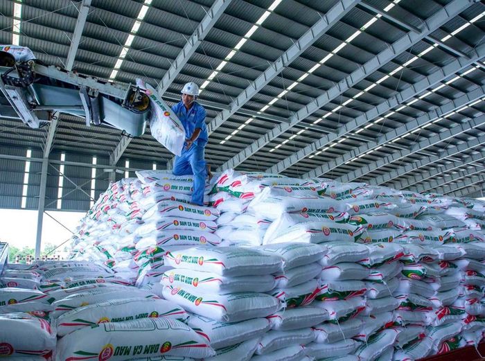 Bên trong nhà máy phân bón Cà Mau của PVCFC. Ảnh: Khánh Ly/Bnews/vnanet.vn