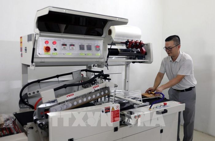 Đóng gói sản phẩm sinh học từ mo cau theo quy trình khép kín, đảm bảo chất lượng và tính thẩm mỹ cho từng sản phẩm. Ảnh: Tạ Toàn – TTXVN