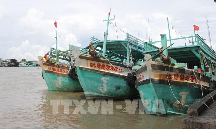 Tàu cá neo đậu tại cảng Sông Đốc, xã Sông Đốc, tỉnh Cà Mau. Ảnh: Tuấn Kiệt – TTXVN 