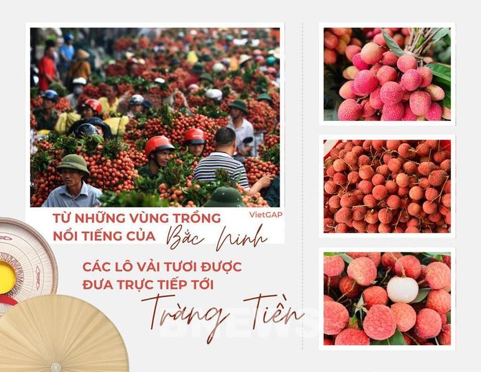 Điểm nhấn nổi bật của chương trình là mùa vải đang vào vụ. Ảnh: Bộ Công Thương