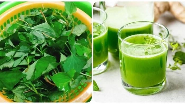 Rau diếp cá rất dễ tìm mua, giá cả lại rẻ bèo.
