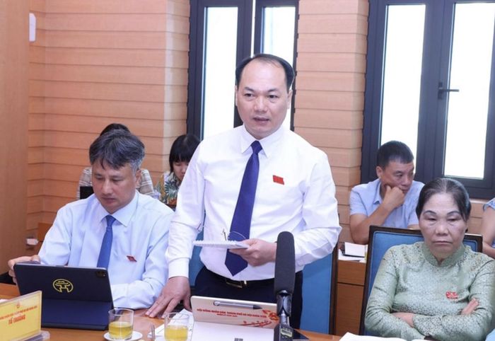 Bí thư Đảng ủy, Chủ tịch HĐND xã Đông Anh Nguyễn Anh Dũng phát biểu