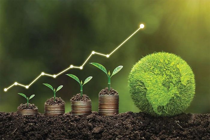 Thực hành ESG giúp nâng cao khả năng chống chịu rủi ro và uy tín của doanh nghiệp Việt Nam trên trường quốc tế.