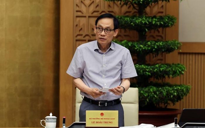 Bộ trưởng Bộ Ngoại giao Lê Hoài Trung phát biểu tại cuộc họp - Ảnh: VGP/Phương Nguyên