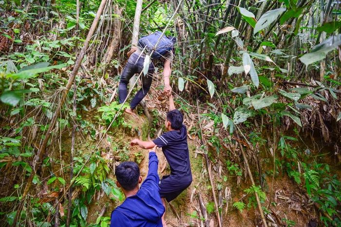 Đồ nghề mang theo không nhiều, chỉ gồm vài chiếc ba lô, túi đựng mật, dao phát và một số vật dụng hỗ trợ leo trèo. Thế nhưng hành trình phía trước có thể kéo dài hàng giờ đồng hồ xuyên rừng, vượt suối và leo dốc để tiếp cận những tổ ong nằm sâu trong vùng lõi rừng nguyên sinh. Nhóm của anh Bình có từ 3 đến 5 người. Trong đó, chỉ anh Bình và anh Hợp là những người trực tiếp leo cây lấy mật. Những người còn lại làm nhiệm vụ dẫn đường, quan sát và vận chuyển sản phẩm sau khi khai thác.