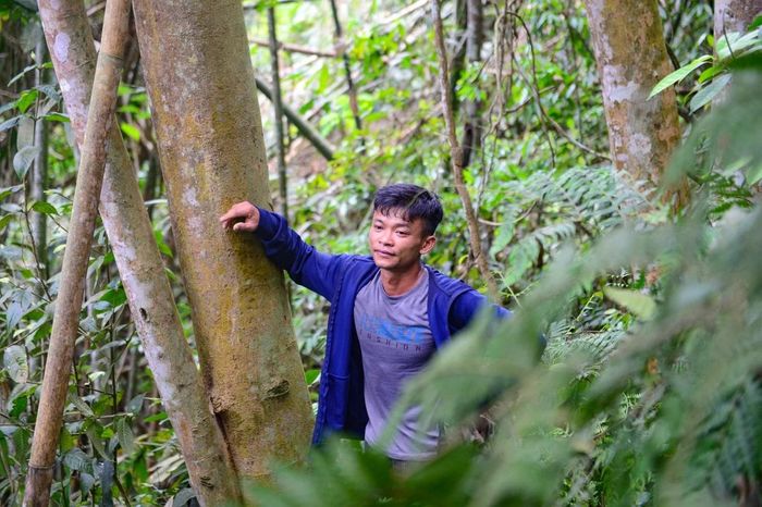 Sinh ra trong gia đình người Thái, lớn lên giữa núi rừng, anh Bình đã theo chân cha đi săn ong từ khi mới hơn 10 tuổi. Hàng chục năm gắn bó với nghề đã giúp anh tích lũy được những kinh nghiệm mà theo anh, “không sách vở nào có thể dạy được”. “Mỗi mùa ong chỉ kéo dài vài tháng nên ai cũng tranh thủ. Đầu mùa muốn gặp tổ lớn phải đi rất sâu vào rừng, có khi cách nhà cả chục, hai chục cây số. Đến khoảng cuối tháng 7, đầu tháng 8 thì ong về nhiều hơn, việc tìm tổ cũng thuận lợi hơn”, anh Bình cho biết.