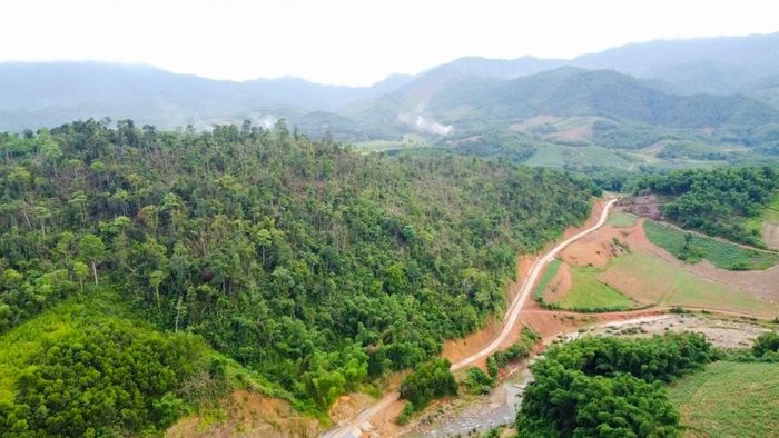 Hiện nay, tại xã Yên Thắng có gần chục nhóm đi săn ong rừng. Tuy nhiên, phần lớn chỉ khai thác các tổ ở vị trí thấp hoặc dễ tiếp cận. Những tổ nằm trên các cây cổ thụ cao vút giữa rừng sâu thường bị bỏ lại vì mức độ rủi ro quá lớn. Mật ong sau khi khai thác chủ yếu được bán cho thương lái từ các địa phương miền xuôi. Vào cao điểm mùa mật, nhu cầu thị trường tăng mạnh khiến sản phẩm làm ra đến đâu tiêu thụ hết đến đó. “Nhiều thương lái gọi điện đặt mua trước, có người còn ứng tiền để chúng tôi chuẩn bị cho những chuyến đi dài ngày trong rừng”, anh Bình cho biết.
