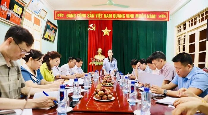 Đồng chí Ngô Thị Hồng Hảo, Tỉnh ủy viên, Trưởng Ban Văn hóa - Xã hội HĐND tỉnh, kết luận buổi làm việc.