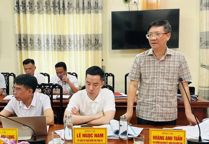 Thành viên Đoàn giám sát phát biểu tại buổi làm việc.