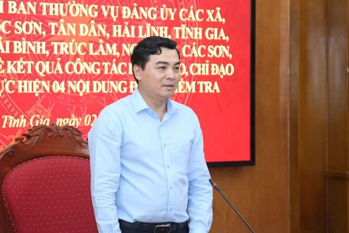 Chủ tịch UBND tỉnh Nguyễn Hoài Anh phát biểu tại buổi làm việc.