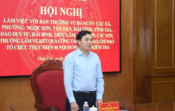 Chủ tịch UBND tỉnh Nguyễn Hoài Anh phát biểu tại buổi làm việc.
