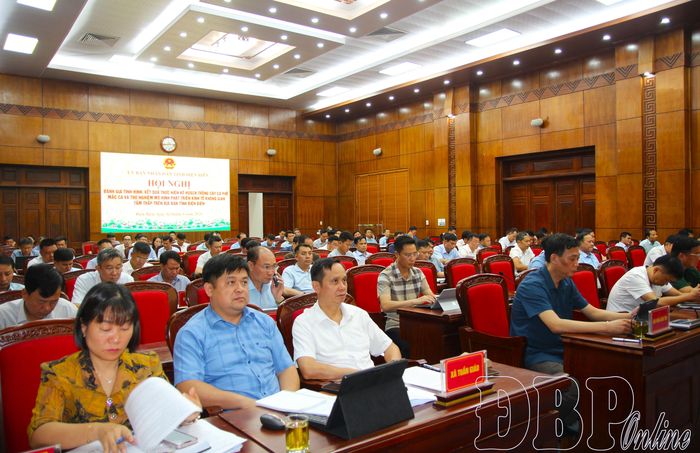 Đại biểu tham dự hội nghị.