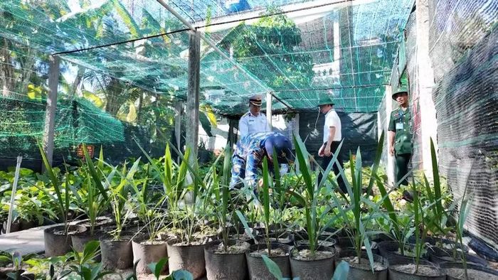  Cán bộ, chiến sĩ đảo Song Tử Tây chăm sóc vườn dừa giống. Ảnh: Mỹ Hà 
