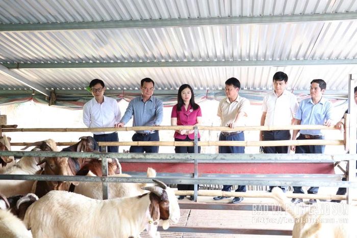Đoàn công tác thăm mô hình phát triển sản xuất tại xã Chiến Thắng