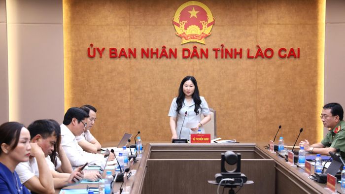 Đồng chí Phó Chủ tịch UBND tỉnh Vũ Thị Hiền Hạnh phát biểu tại hội nghị.