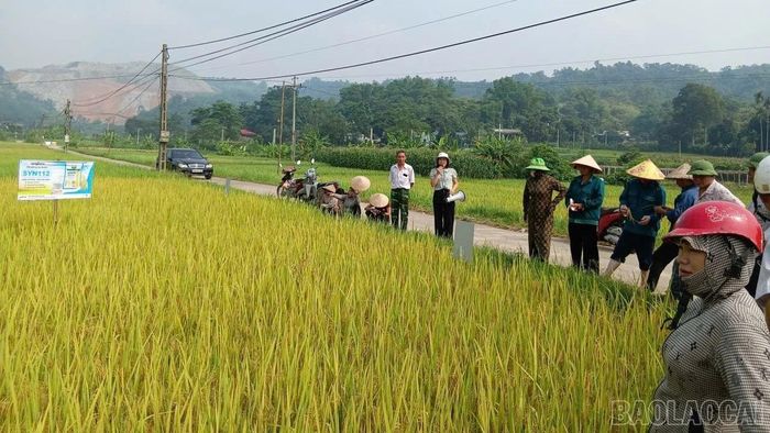 Quang cảnh hội nghị đầu bờ.