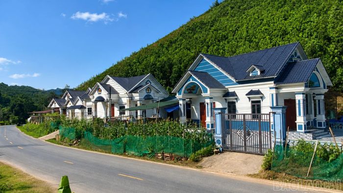 Cuộc sống của đồng bào Mông ở thôn Trung Tâm, xã Mỏ Vàng ngày càng sung túc nhờ phát triển cây quế.