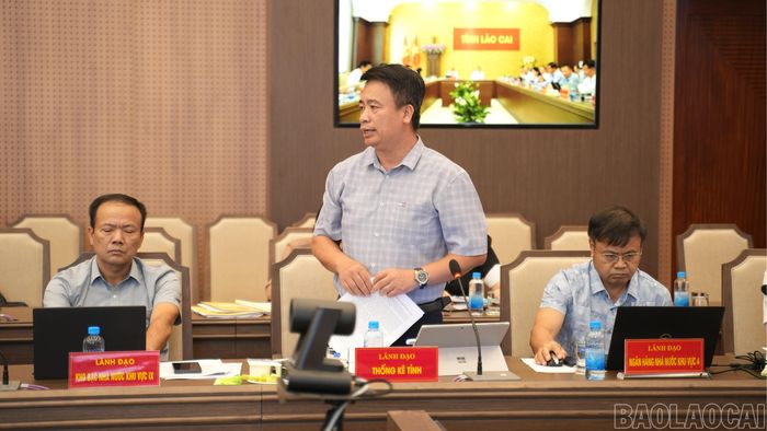 Lãnh đạo Thống kê tỉnh trao đổi, làm rõ một số chỉ tiêu kinh tế - xã hội tại hội nghị.