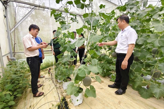 Lãnh đạo xã Cát Tiên 2 thăm mô hình nông nghiệp tại các thôn