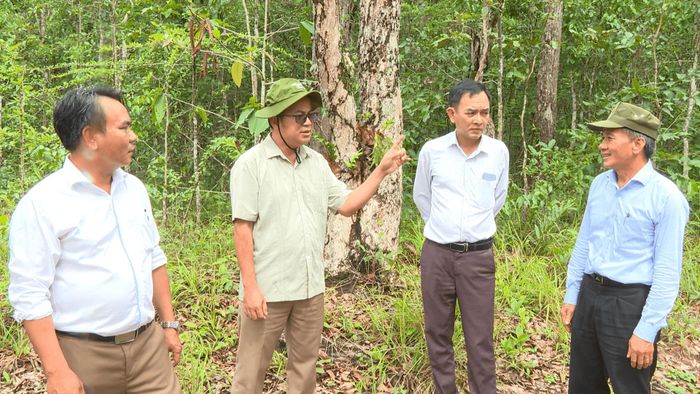 Phó Chủ tịch HĐND tỉnh Lâm Đồng Y Quang BKrông (thứ 2 từ trái qua) chỉ đạo tại buổi kiểm tra thực địa diện tích rừng trên địa bàn xã La Dạ