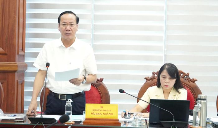 Lãnh đạo Sở Tài chính phát biểu tại buổi làm việc - Ảnh: Q.V