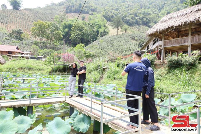 Khách tham quan chụp ảnh tại điểm du lịch sinh thái của anh Tòng Đức Nhân.