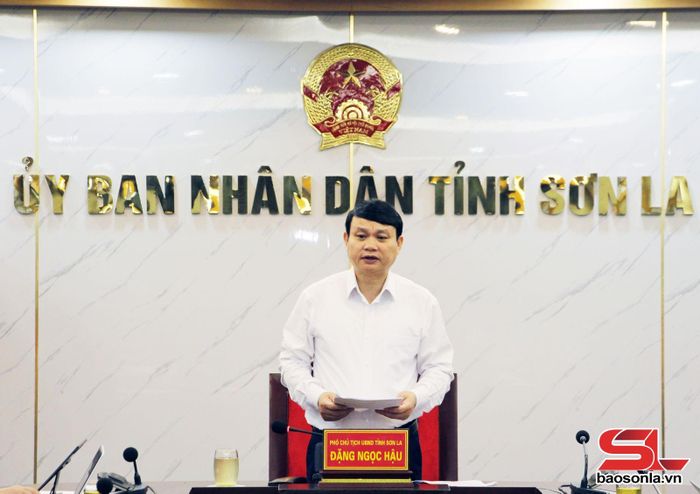 Đồng chí Phó Chủ tịch UBND tỉnh phát biểu tại cuộc làm việc.