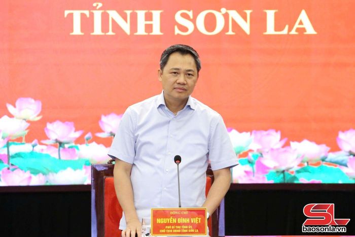 Đồng chí Chủ tịch UBND tỉnh phát biểu tại cuộc làm việc.