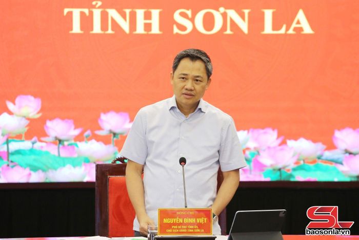 Đồng chí Chủ tịch UBND tỉnh phát biểu tại cuộc làm việc.