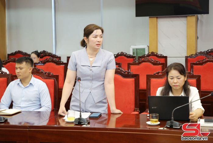 Đại diện doanh nghiệp phát biểu tại cuộc làm việc.