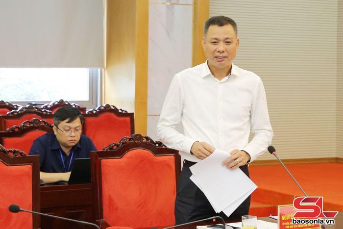 Đồng chí Phó Chủ tịch UBND tỉnh phát biểu tại cuộc làm việc.