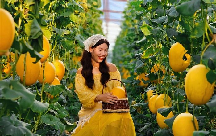 Một số Facebooker, TikToker đầu tư kỹ lưỡng, tạo nên những hình ảnh ấn tượng lan tỏa trên mạng xã hội