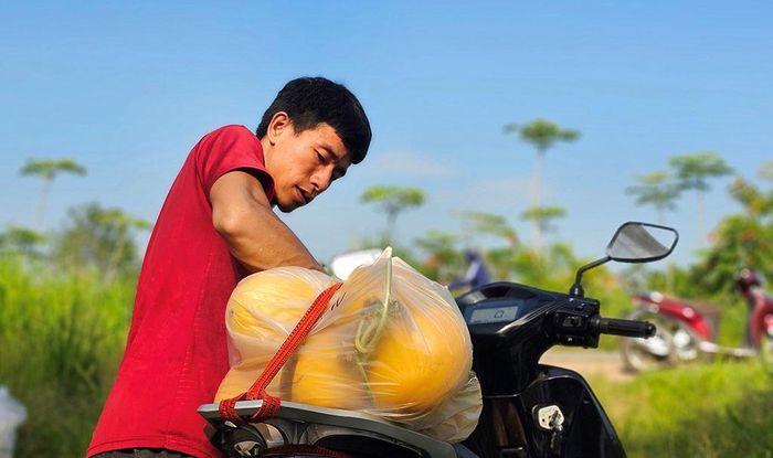 Anh Lê Quang Sang giúp khách đến mua tại chỗ vận chuyển dưa an toàn