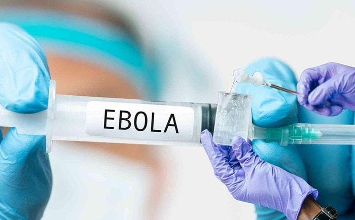 Virus Ebola có thời gian ủ bệnh từ 2-21 ngày. Ảnh minh họa