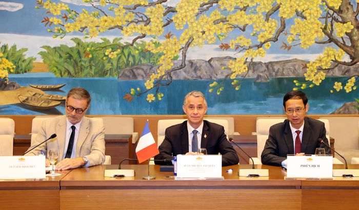 Chủ nhiệm Ủy ban Quốc phòng và các lực lượng vũ trang của Hạ viện Pháp Jean Michel Jacques phát biểu tại cuộc làm việc