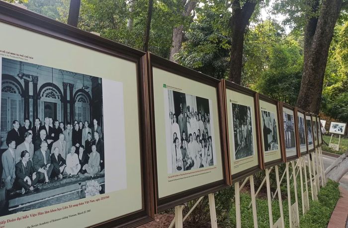 Một góc triển lãm “115 ảnh hoạt động của Chủ tịch Hồ Chí Minh trong Khu Phủ Chủ tịch”.