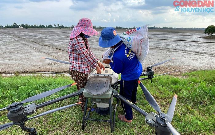 Nông dân An Giang dùng drone để rải phân trên cánh đồng lúa. Ảnh: TTH