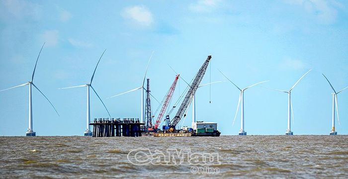 Các dự án điện gió đã vận hành thương mại, đang triển khai cũng như tiếp tục được kêu gọi đầu tư được kỳ vọng trở thành trụ cột, góp phần quan trọng cho tỉnh Cà Mau hiện thực hóa mục tiêu tăng trưởng hai con số. (Ảnh: Ðiện gió Tân Thuận).