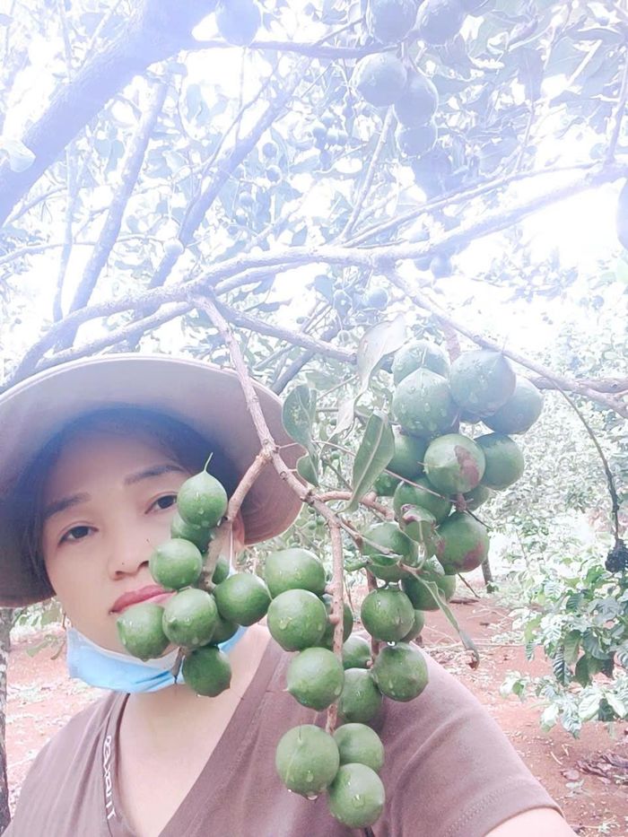 Người nông dân xã Quảng Trực, tỉnh Lâm Đồng vui mừng thu hoạch mắc ca vì sản lượng và chất lượng đều đạt