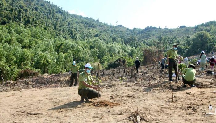  Lực lượng kiểm lâm và người dân tham gia trồng cây phục hồi rừng trên diện tích đất bị suy thoái, góp phần tái tạo hệ sinh thái và bảo vệ môi trường. 