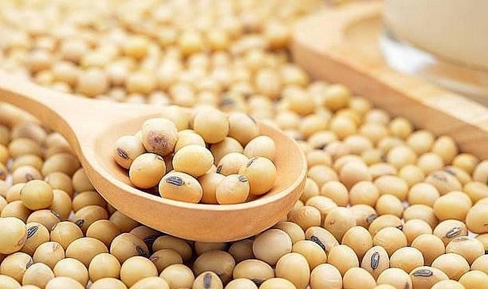 Hoạt động mua hàng từ Trung Quốc vẫn chưa xuất hiện mạnh như kỳ vọng, khiến triển vọng tăng giá của đậu tương còn hạn chế