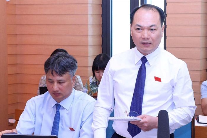 Đại biểu Nguyễn Anh Dũng phát biểu thảo luận tại tổ. Ảnh: Thành Thái