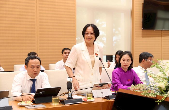 Đại biểu Nguyễn Thị Lan Hương phát biểu thảo luận. Ảnh: Thành Thái