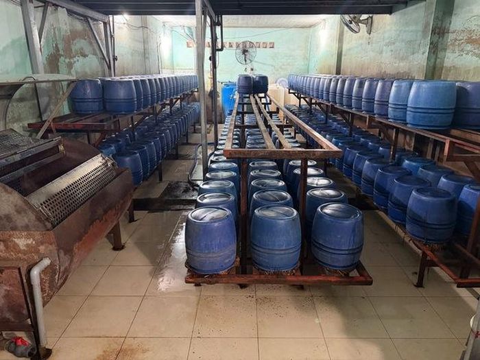 Các lu nhựa dùng chứa giá đỗ. Ảnh: CACC