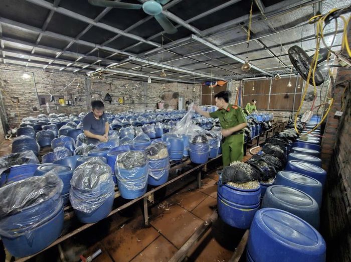 Lực lượng công an kiểm tra tại cơ sở sản xuất giá đỗ của Lê Thị Hoan.