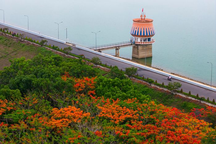  Thực tế, địa phương cũng đang khai thác lợi thế này nhưng vẫn chưa tạo sản phẩm du lịch bứt phá. 
