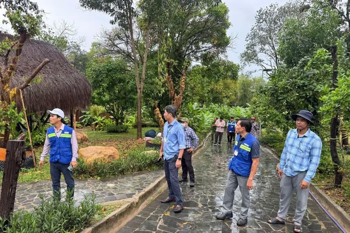  Ông Nguyễn Lê Quốc Toàn, Phó Chủ tịch UBND đặc khu Phú Quốc (thứ 2 từ trái sang), kiểm tra, chỉ đạo lực lượng chức năng thực hiện cưỡng chế dự án The Peak sáng 3/6. 